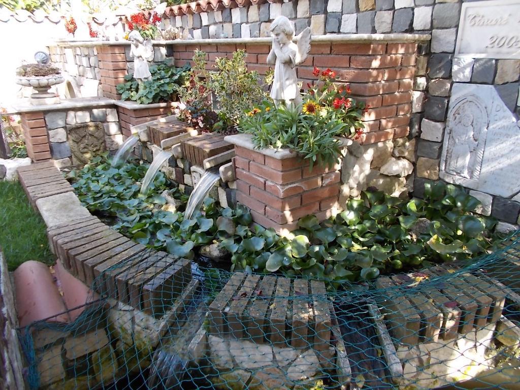 B&B Il Giardino Acquatico Coppito Esterno foto