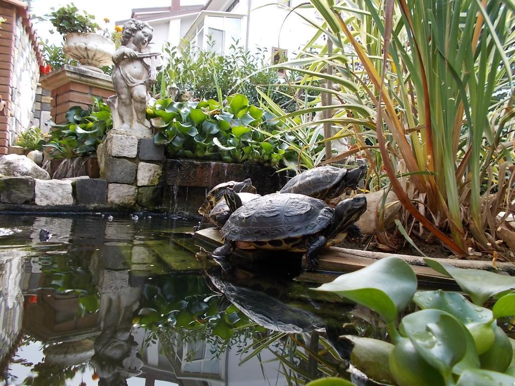 B&B Il Giardino Acquatico Coppito Esterno foto