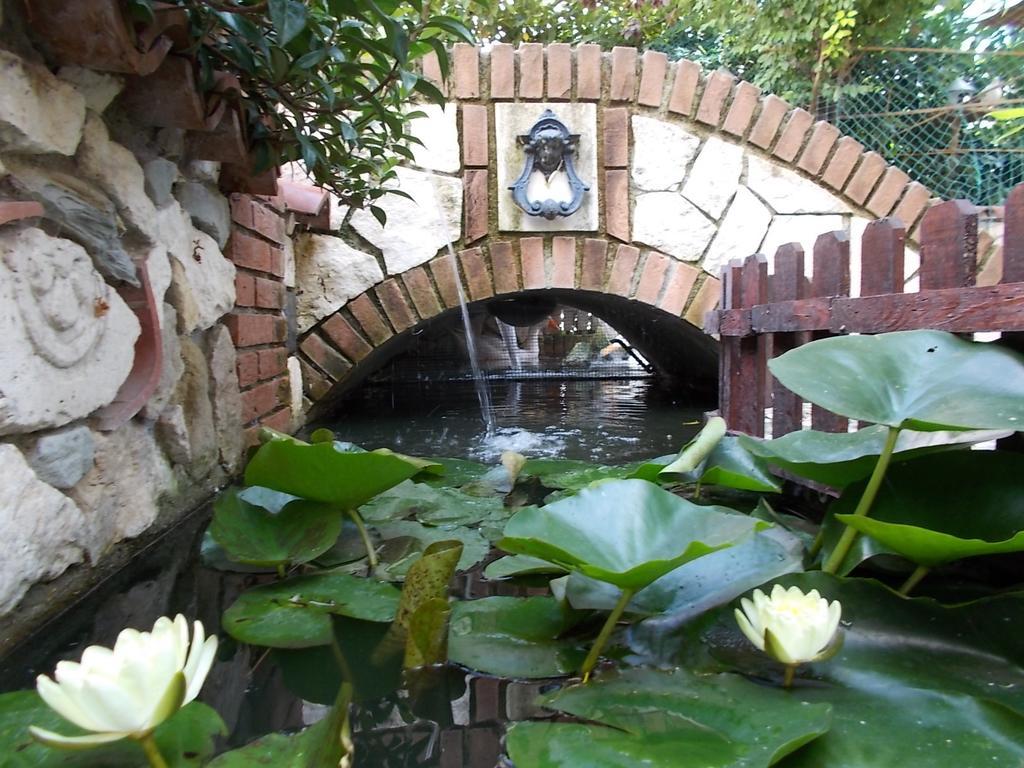 B&B Il Giardino Acquatico Coppito Esterno foto