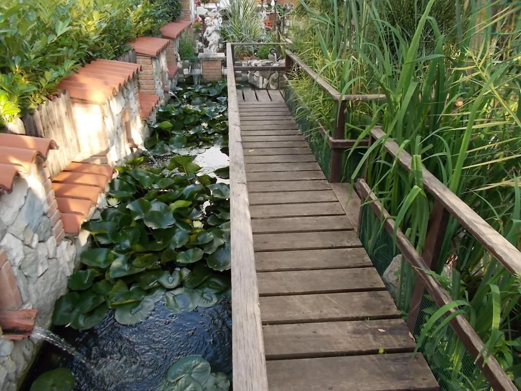 B&B Il Giardino Acquatico Coppito Esterno foto